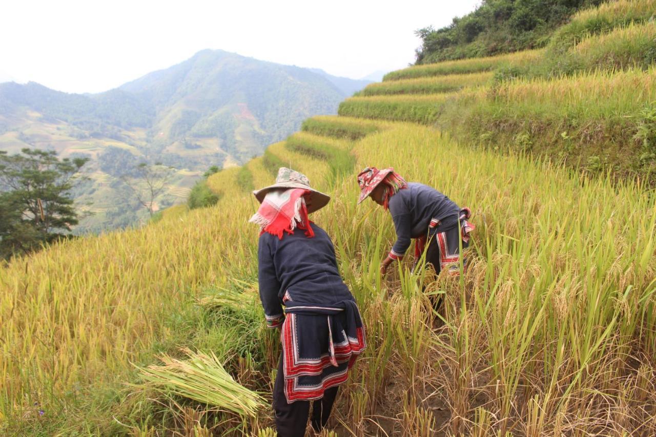 Hoang Su Phi Lodge Ha Giang Esterno foto